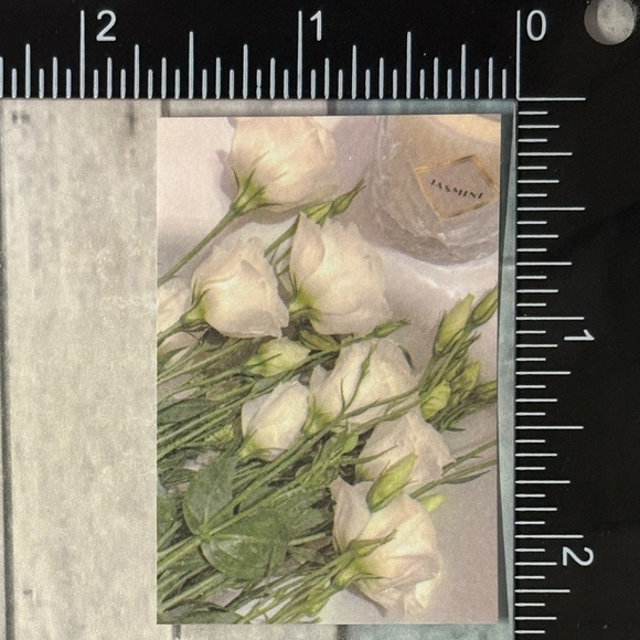 🌀10/$10🌀 White Dream Reusable Washi Sticker Decal - Picture 1 of 1